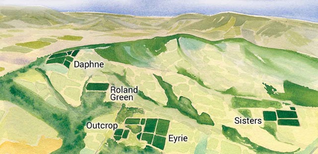 Map of The Eyrie Vineyards in the Dundee Hills Oregon