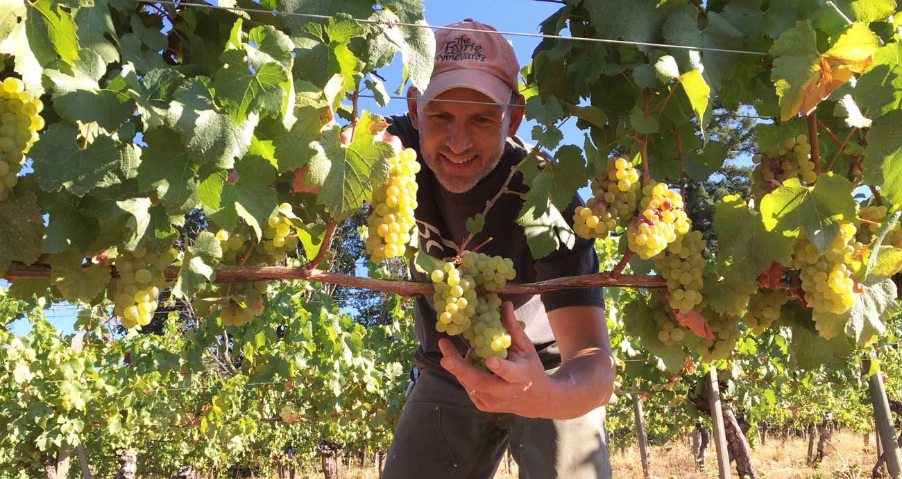 Jason Harvesting